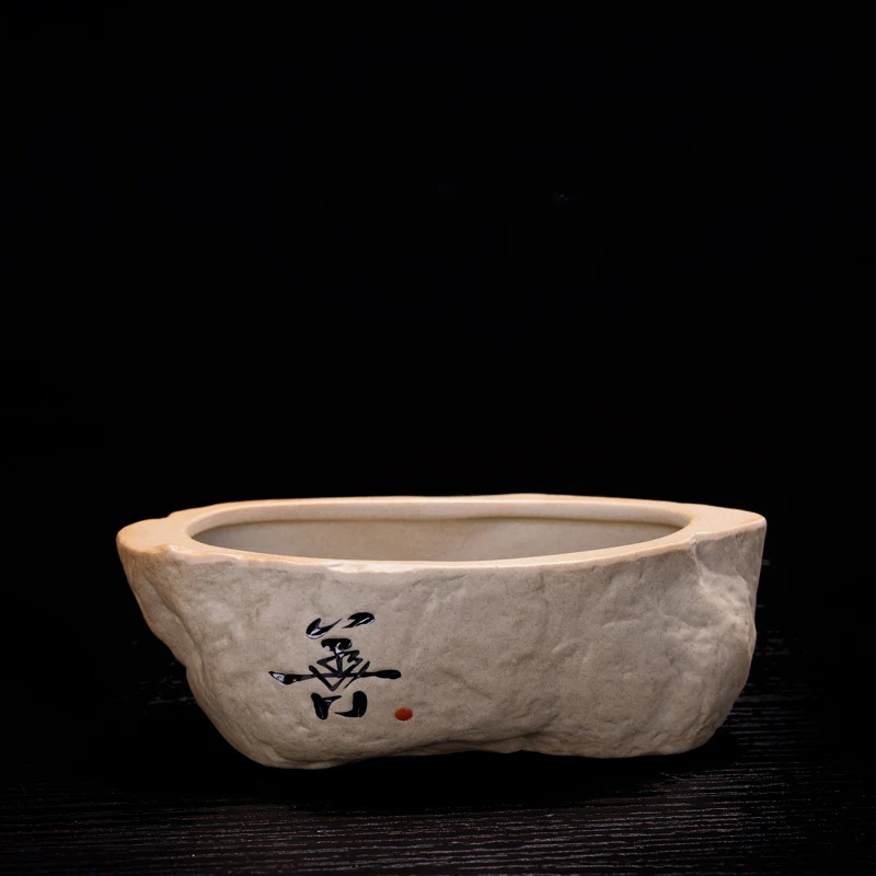 Bonsai Ceramic Pot - Image 3