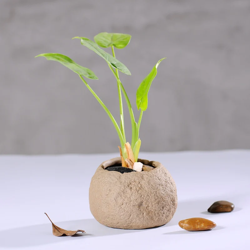 Bonsai Stone Planter - Image 6
