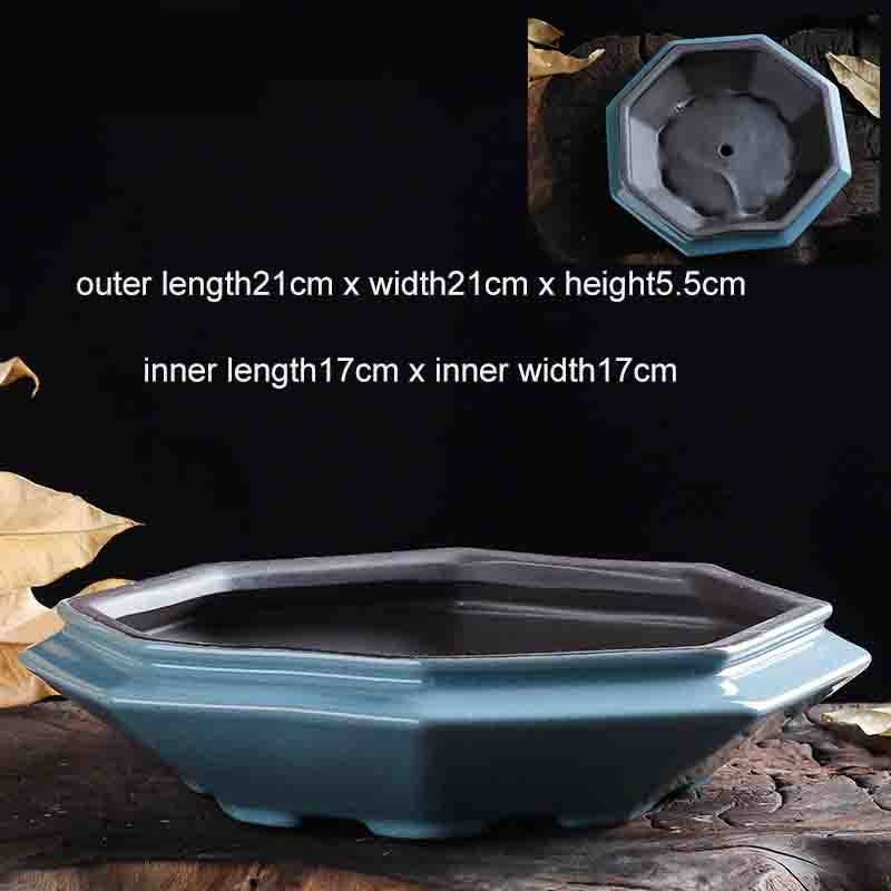 Low Profile Bonsai Pot - Image 3