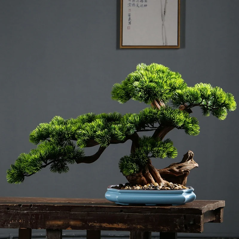 Low Profile Bonsai Pot - Image 8