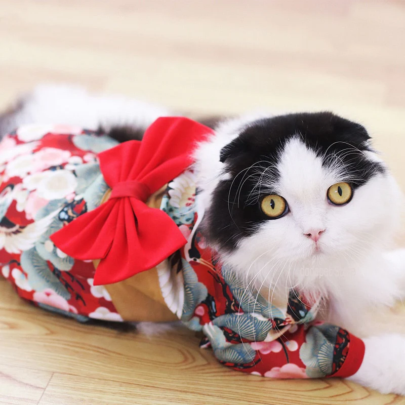 Authentic Pet Kimono - Image 10
